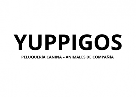 Teguia Valencia-Yuppi Gos-Algemesí
